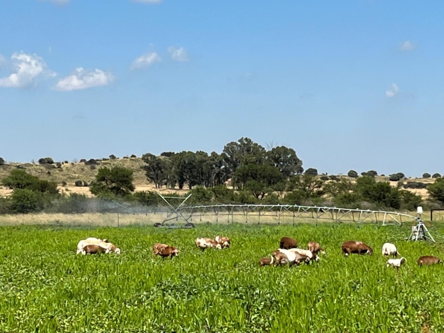 5 Bedroom Property for Sale in Brandfort Rural Free State